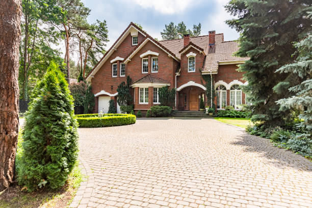 Best Professional Driveway Pavers  in Placitas, NM
